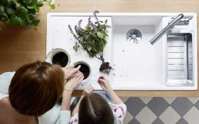 Little Herb Fairies – Kids in The Kitchen
